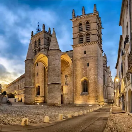 Lejlighed Charming 1 Bedroom With Terrace Air Conditioning And Private Parking Montpellier